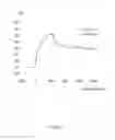Fig. 06 - Antibody capable of binding to influenza virus