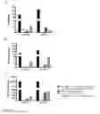 Fig. 06 - Chimeric antigen receptor specific for SSEA4 antigen