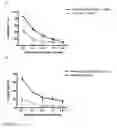 Fig. 07 - Chimeric antigen receptor specific for SSEA4 antigen