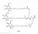 Fig. 07 - OLIGONUCLEOTIDES FOR REDUCTION OF PD-L1 EXPRESSION