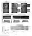 Fig. 09 - Compositions and methods for treating and preventing inflammation