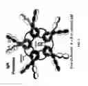 Fig. 02 - Modified J-chain