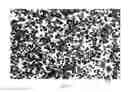 Fig. 02 - POLYAMIDE-BASED THERMOPLASTIC ELASTOMER COMPOSITION AND MOLDED ARTICLE THEREOF