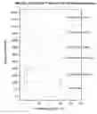 Fig. 01 - Starch nanocomposite materials