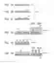 Fig. 02 - Pattern forming method as well as production methods for processed substrate, optical component, circuit board, electronic component and imprint mold