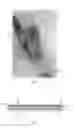 Fig. 02 - Carton sealing tape with a plurality of security features