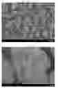 Fig. 02 - Fluorescent material, light-emitting device, and method for producing fluorescent material