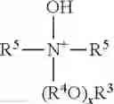 Fig. 09 - ENCAPSULATED CLEANING COMPOSITION