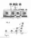 Fig. 03 - Embryo assessment