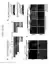 Fig. 07 - Methods for efficient derivation of human motor neurons from diverse spinal regions
