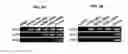 Fig. 09 - Reprogramming cells