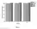 Fig. 03 - Method for preparing kaolin immobilized GY2B bacteria and application thereof