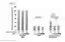 Fig. 08 - Method for non-enzymatic combination of nucleic acid chains