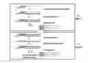 Fig. 01 - METHODS FOR COLLECTING CERVICAL-VAGINAL FLUIDS AND ISOLATING EXOSOME AND MICROVESICLES FOR MOLECULAR ANALYSIS