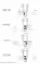 Fig. 09 - NUCLEIC ACID-BINDING SOLID-PHASE CARRIER AND NUCLEIC ACID EXTRACTION METHOD