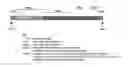 Fig. 02 - DNA SEQUENCE AND A MUTATOR INSERTION SEQUENCE FOR INCREASING MUTATION RATE