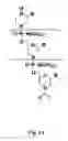 Fig. 02 - Compositions for treating muscular dystrophy
