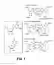 Fig. 02 - Therapeutic compositions