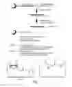 Fig. 02 - RNA interference mediated inhibition of gene expression using chemically modified short interfering nucleic acid (siNA)