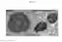 Fig. 07 - Transformed strain having capability of producing squalene from carbon dioxide and method for producing squalene using the same