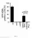 Fig. 07 - Ubiquitination system and the uses thereof