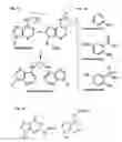 Fig. 02 - METHODS AND COMPOSITIONS FOR THE REMOVAL OF ALDEHYDE ADDUCTS AND CROSSLINKS FROM BIOMOLECULES