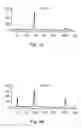 Fig. 06 - Preparation of adapter-ligated amplicons