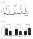 Fig. 35 - Compositions and methods for enhancing odorant receptor activity