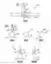 Fig. 04 - Electromagnetic anti-windmilling system