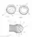 Fig. 05 - Wire thread insert with redress mounting tang as well as its manufacturing and installation