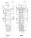 Fig. 02 - Conformal clearance fit fastener, fastener system, and method for composite structures