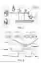 Fig. 03 - Control device for power transmission mechanism