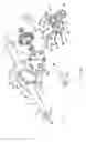 Fig. 02 - Axle assembly