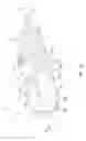 Fig. 02 - Portable light having a forward facing light and a rearward facing light