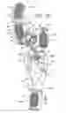 Fig. 38 - Footwear having sensor system