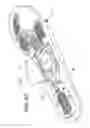 Fig. 58 - Footwear having sensor system