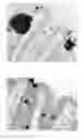 Fig. 01 - Autostainer hematoxylin and methods of use