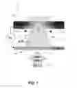 Fig. 02 - System and method for sensing and trapping nanoparticles with plasmonic nanopores