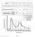 Fig. 06 - METHODS TO DETERMINE THE DISTRIBUTION PROFILES OF CIRCULATING MICRORNAS
