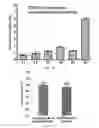 Fig. 09 - METHODS TO DETERMINE THE DISTRIBUTION PROFILES OF CIRCULATING MICRORNAS