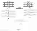 Fig. 07 - Metal coordination complex for detection of vapors and anions and process for the preparation thereof
