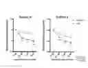 Fig. 28 - METHOD FOR RECONSTITUTING TUMOR WITH MICROENVIRONMENT