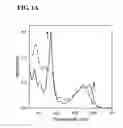Fig. 02 - METHODS FOR THE DETECTION OF CYANIDE BASED ON DISPLACEMENT OF THE GLUTATHIONE LIGAND OF GLUTATHIONYLCOBALAMIN BY CYANIDE