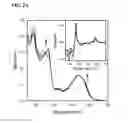 Fig. 06 - METHODS FOR THE DETECTION OF CYANIDE BASED ON DISPLACEMENT OF THE GLUTATHIONE LIGAND OF GLUTATHIONYLCOBALAMIN BY CYANIDE