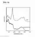 Fig. 16 - METHODS FOR THE DETECTION OF CYANIDE BASED ON DISPLACEMENT OF THE GLUTATHIONE LIGAND OF GLUTATHIONYLCOBALAMIN BY CYANIDE