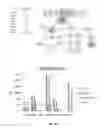 Fig. 08 - METHODS FOR PREDICTING AND IMPROVING THE SURVIVAL OF GASTRIC CANCER PATIENTS