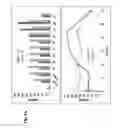 Fig. 02 - Method for measurement of peptidic degradation products of a proteolytic cascade in blood samples