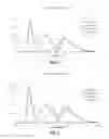 Fig. 06 - Liquid crystal display comprising absorption dyes
