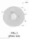 Fig. 02 - Tight-buffered optical fiber having improved fiber access