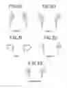 Fig. 08 - Novelty Shades